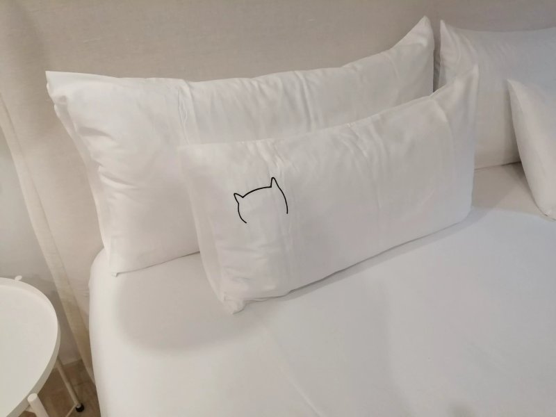 Nuevo Katu Kale Apartamentuak Centro Historico