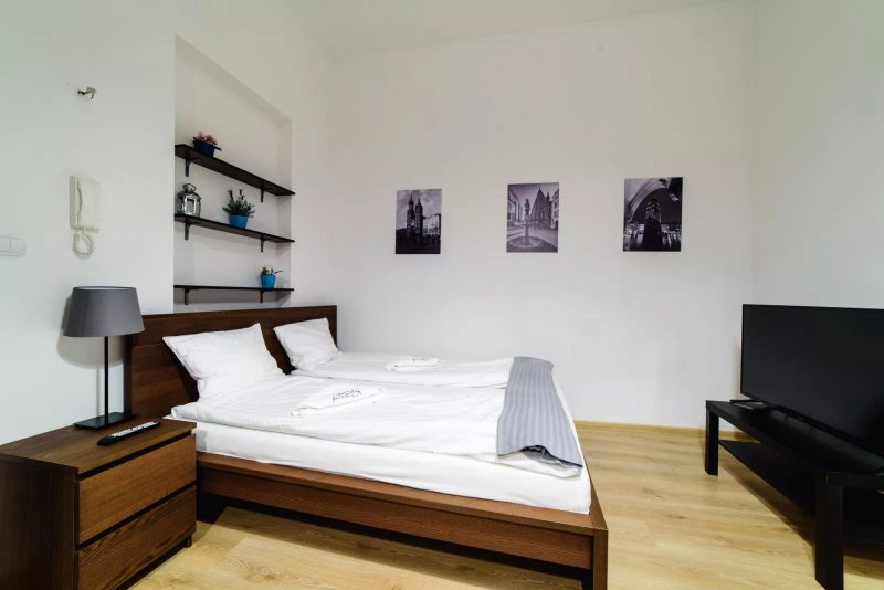 Cracow Rent Apartments Szlak