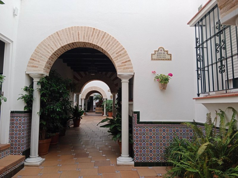 Apartamentos Los Patios