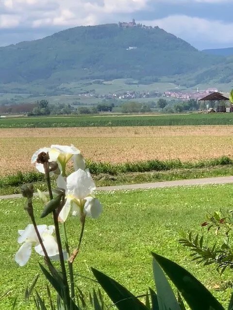 Hotel La Clairiere
