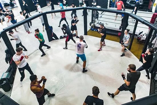 Gym01 Fitness and Martial Arts