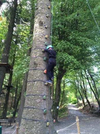 Ape Mann Adventure Park