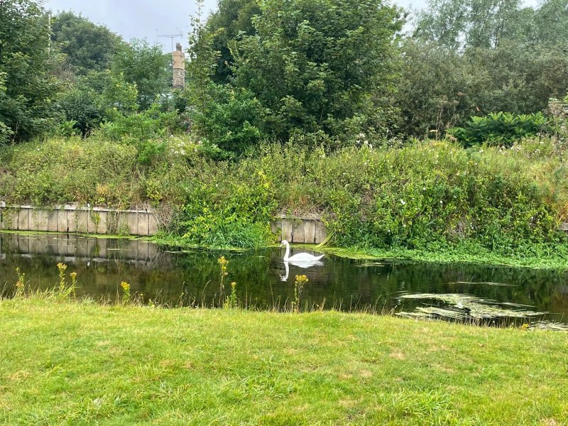 Norwich Camping and Caravanning Club Site
