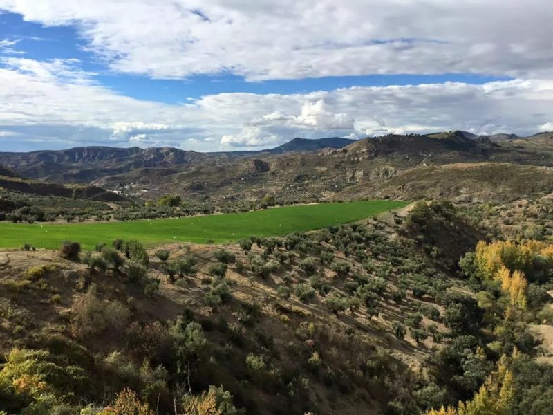 Cortijo La Argumosa