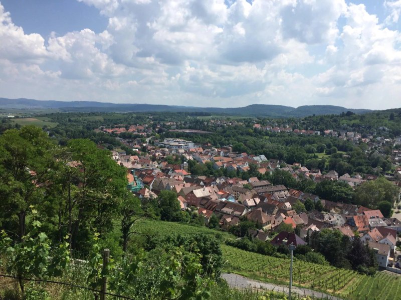 Burgruine Weibertreu
