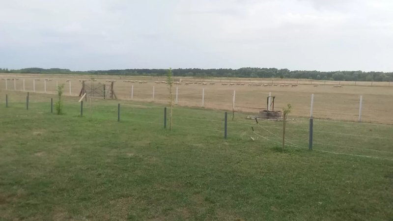 NatuurCamp-inn Tisza-To