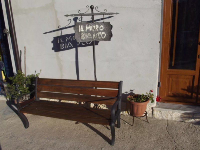 Il Moro Bianco
