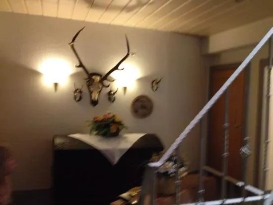 Hotel Freese