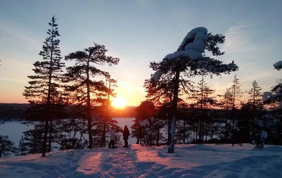 Local Lifestyle Rovaniemi