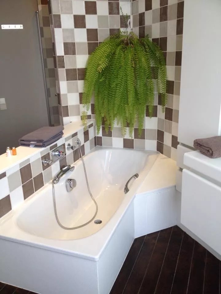 B&B Wellness Yoake