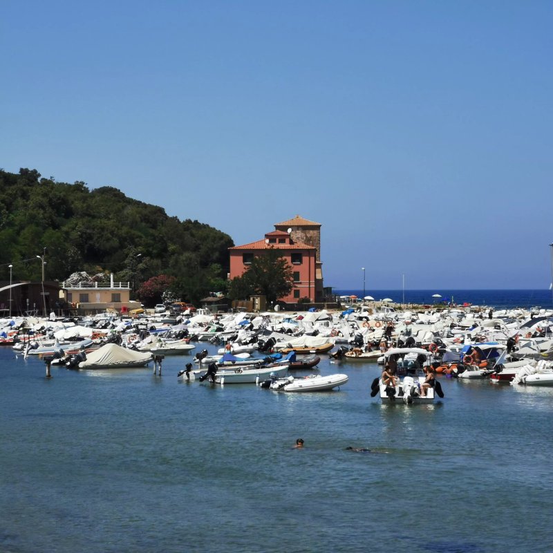 Il Barbagianni