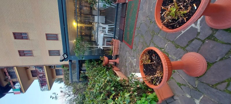 Tana Della Volpe Ristorante Pizzeria