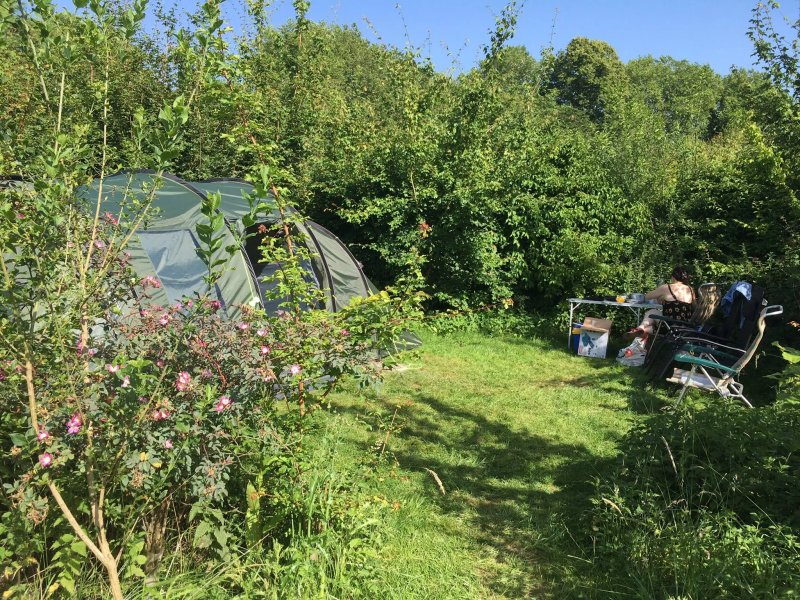 Bridge House - Campsite and B&B