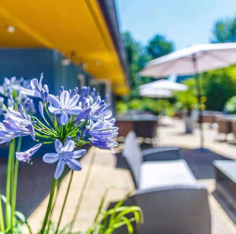 Hotel Cote Sud Leman