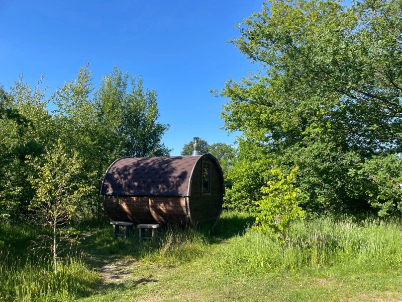 Natuurcamping De Klashorst