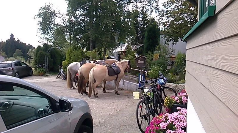 Zum Deutscher Jaeger