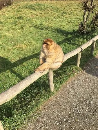 Affen- und Vogelpark Eckenhagen