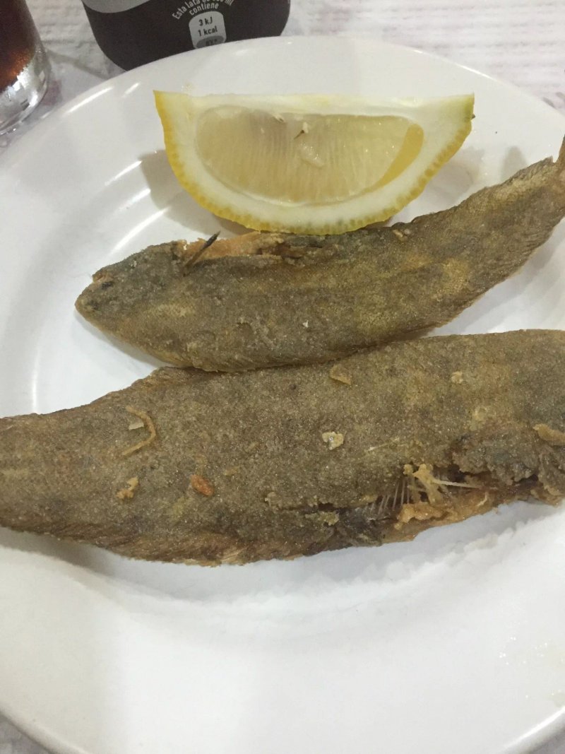 Bar Dorado