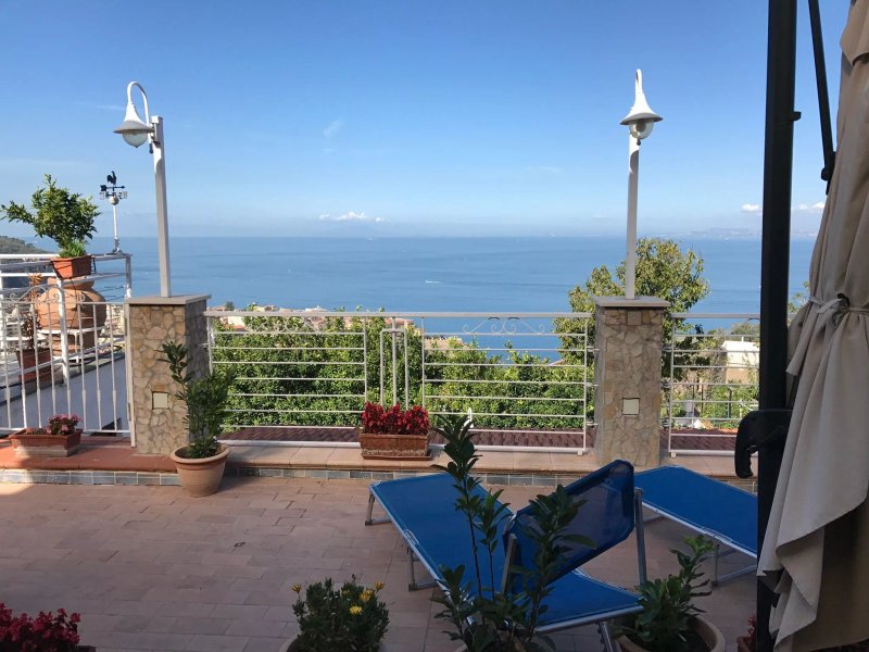 Garden on the Sea
