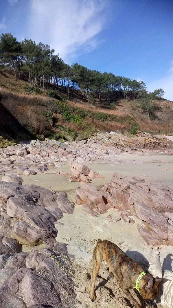 Plage Du Portuais
