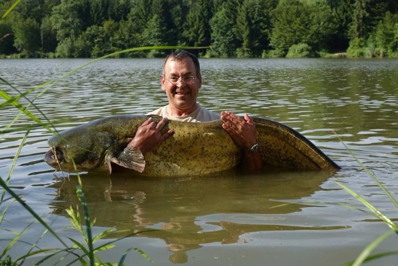 Koi Kulinarik am Teich