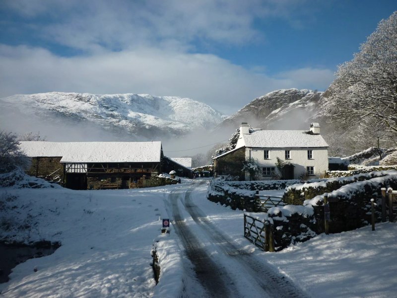 Yew Tree Farm