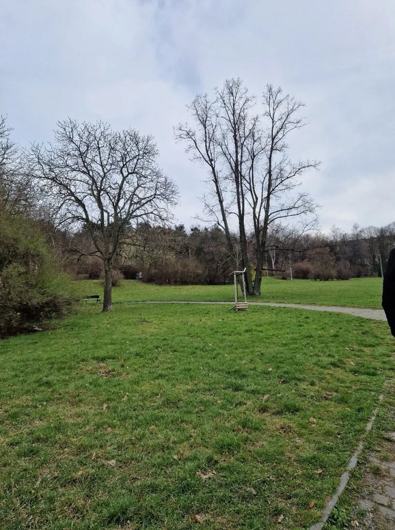 Kralovka Park