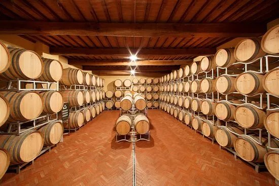 Wine experience