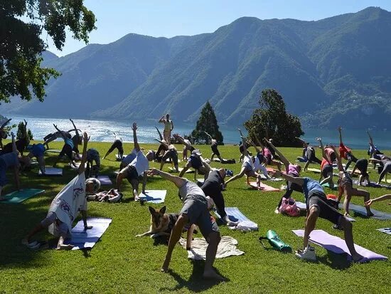 Yoga Dinamico e Natural Wellness
