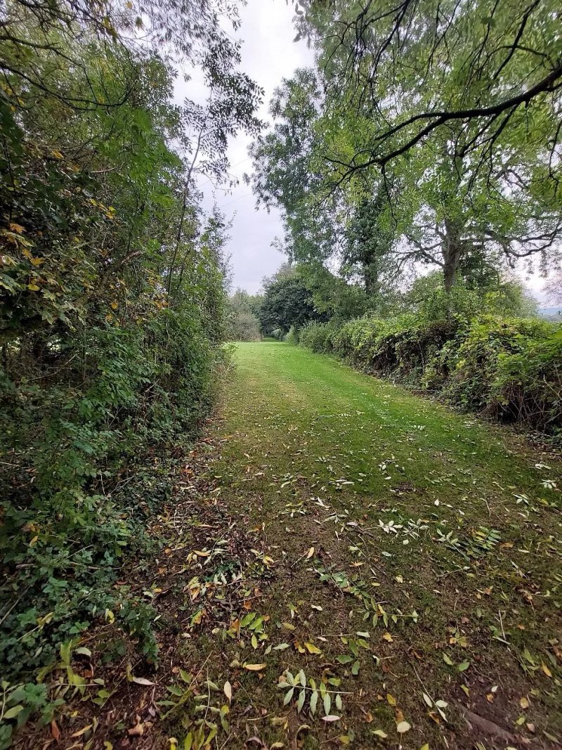 Spindlewood Lodges