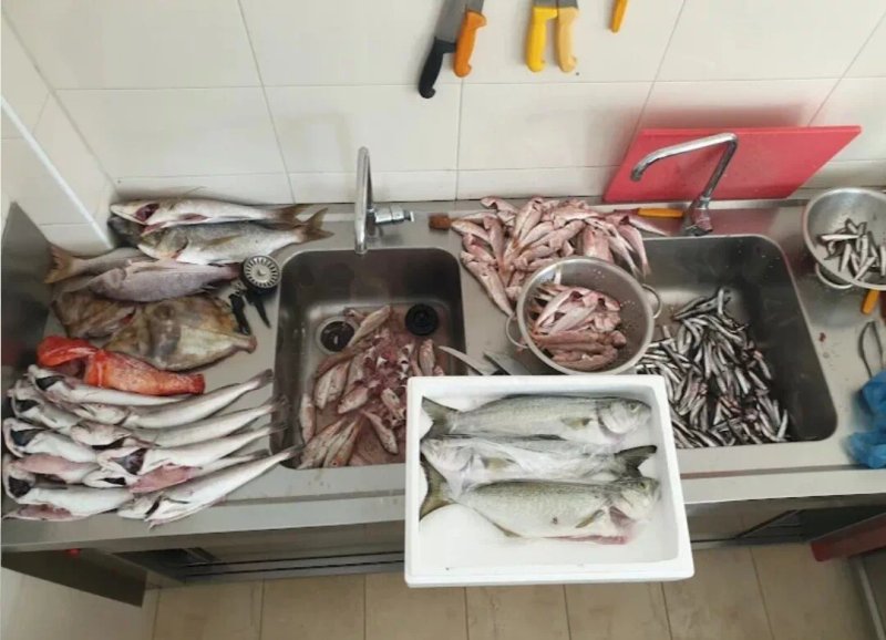 Fish Shop To Grigri (mitsokopi)
