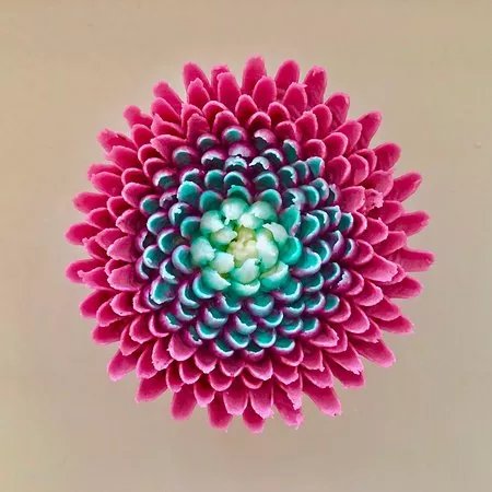 Creative Creations Cake School