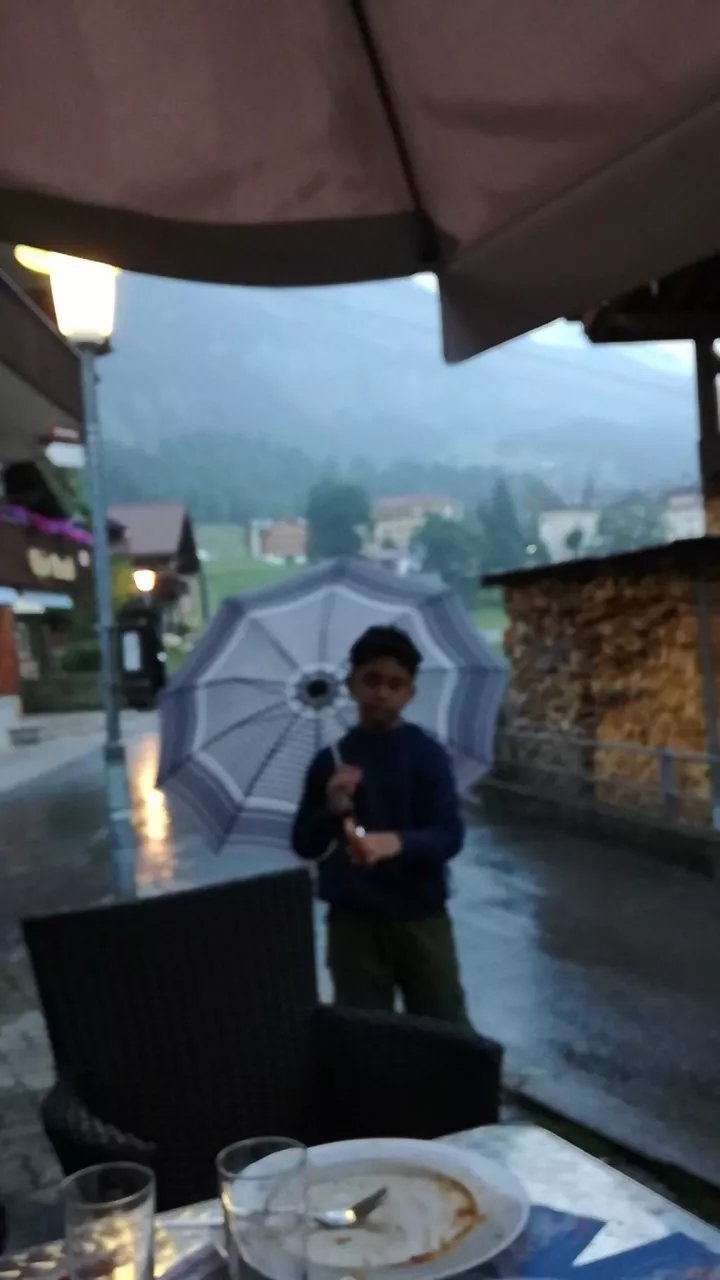 Golden India Wengen