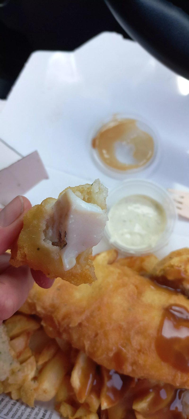 Pollards Plaice