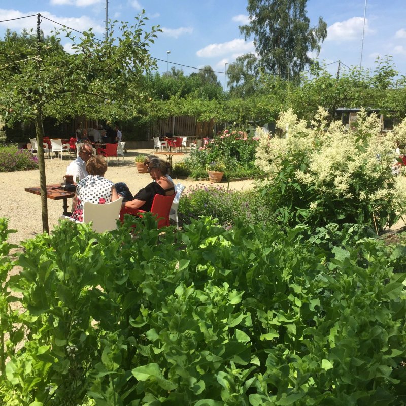 Giardino D'Italia