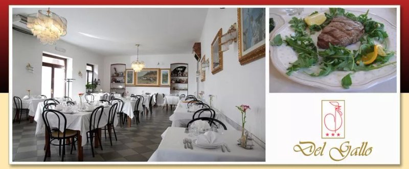 Hotel del Gallo