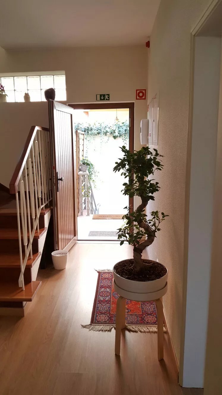 Villa Prana - Guesthouse & Therapies