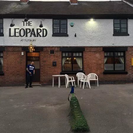 The Leopard at Tutbury