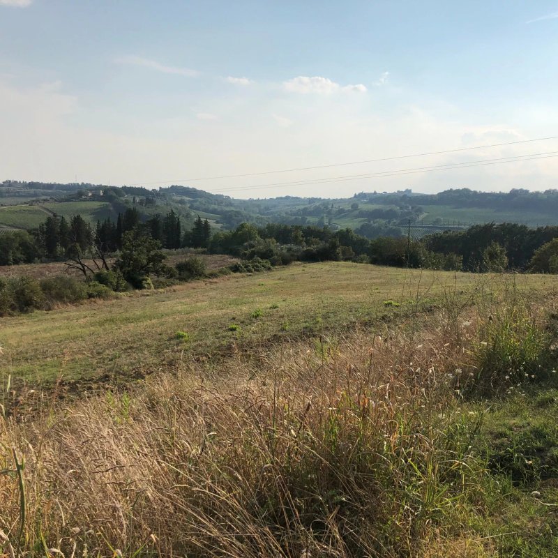 Bio Agriturismo La Ginestra