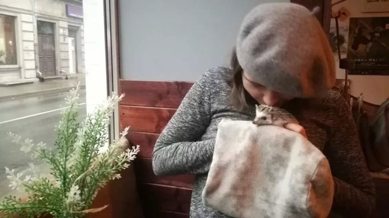 Avotu Ezitis migla