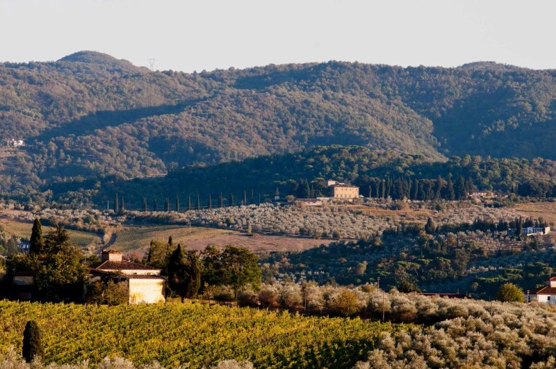Villa Medicea Di Lilliano