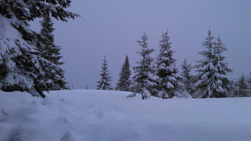 Nordseter Fjellpark, Hytteutleie