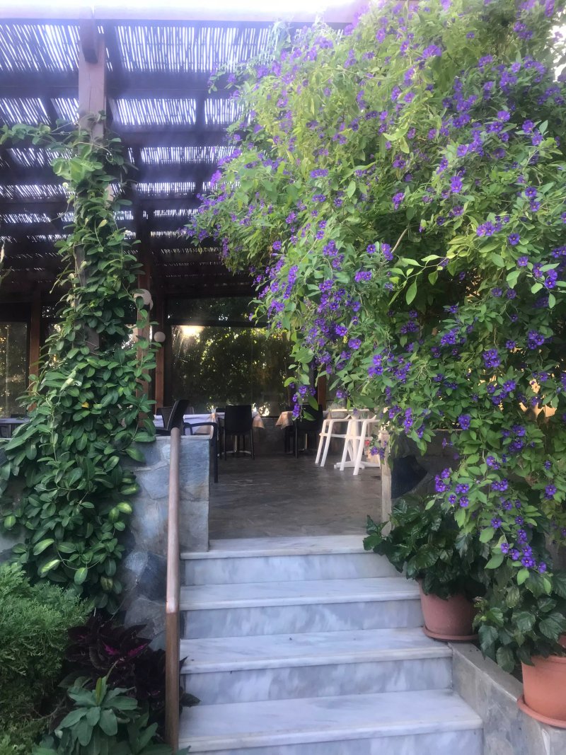 Hotel Glaros