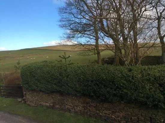 Common Barn Farm