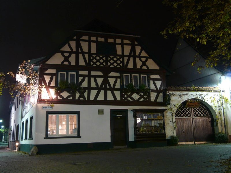 Hotel Gruner Baum