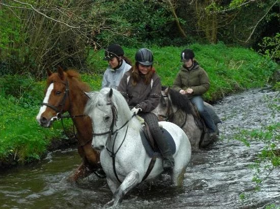 The Rock Equestrian Farm Bed & Breakfast