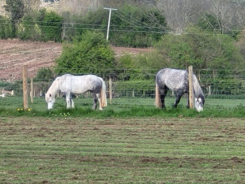 Churchlands