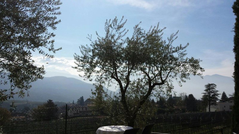 Boutique Hotel Felderer