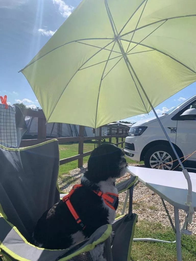 Highclere Caravan and Camping Park