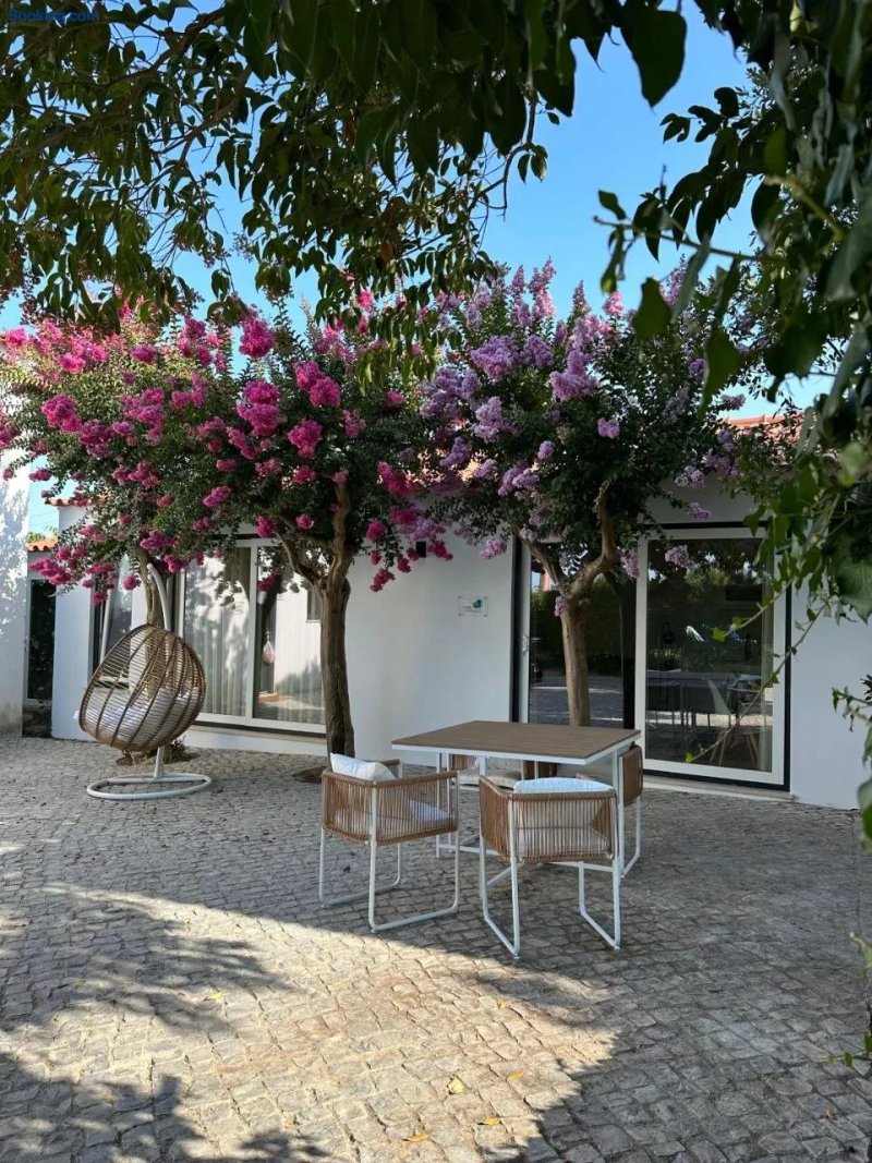 Horta dos Cedros